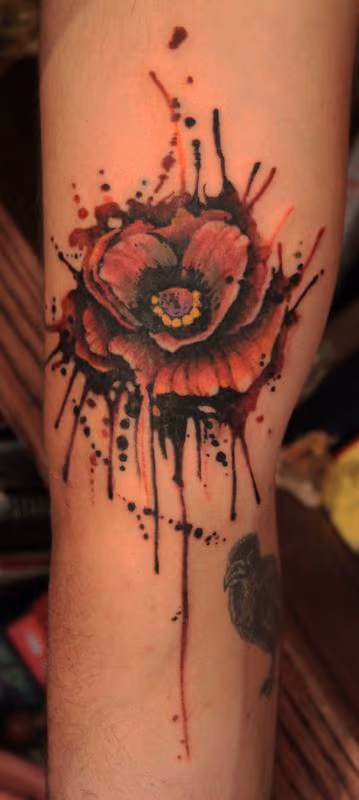 Poppy