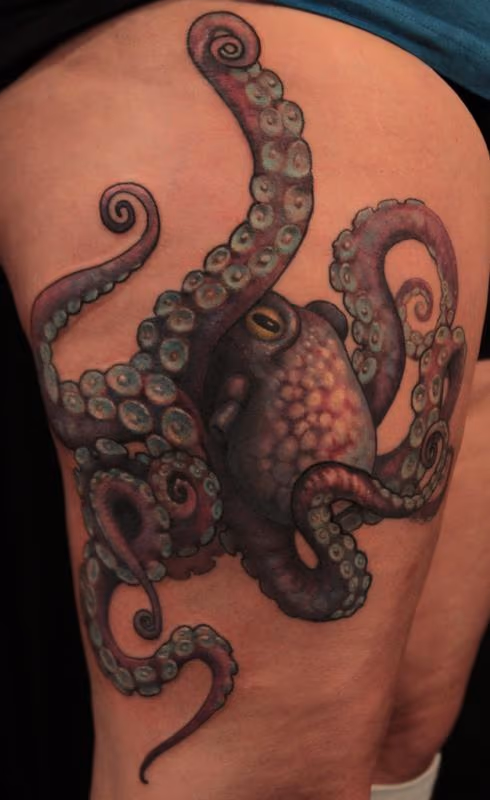 Octopus Tattoo