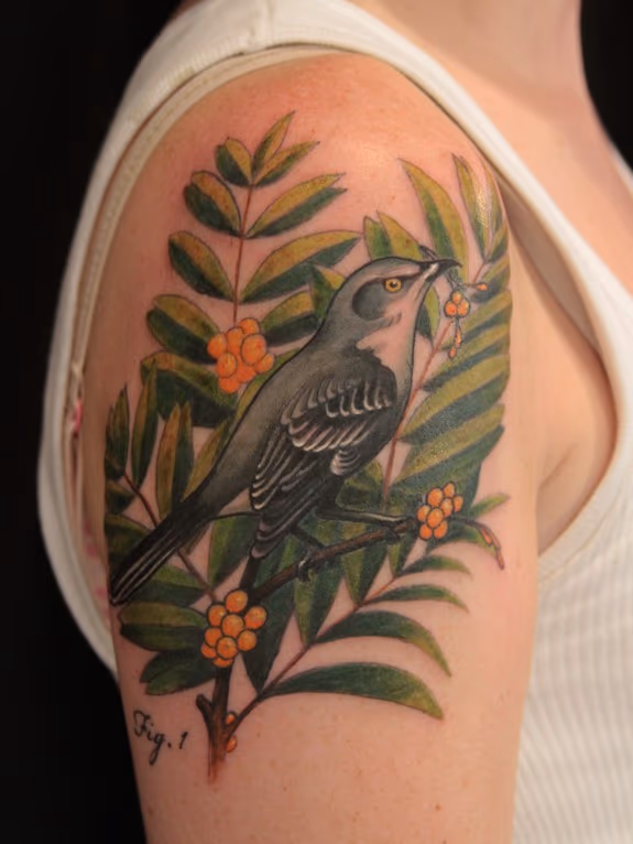 Bird Tattoo