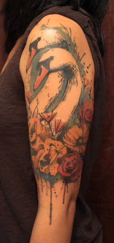 Swans