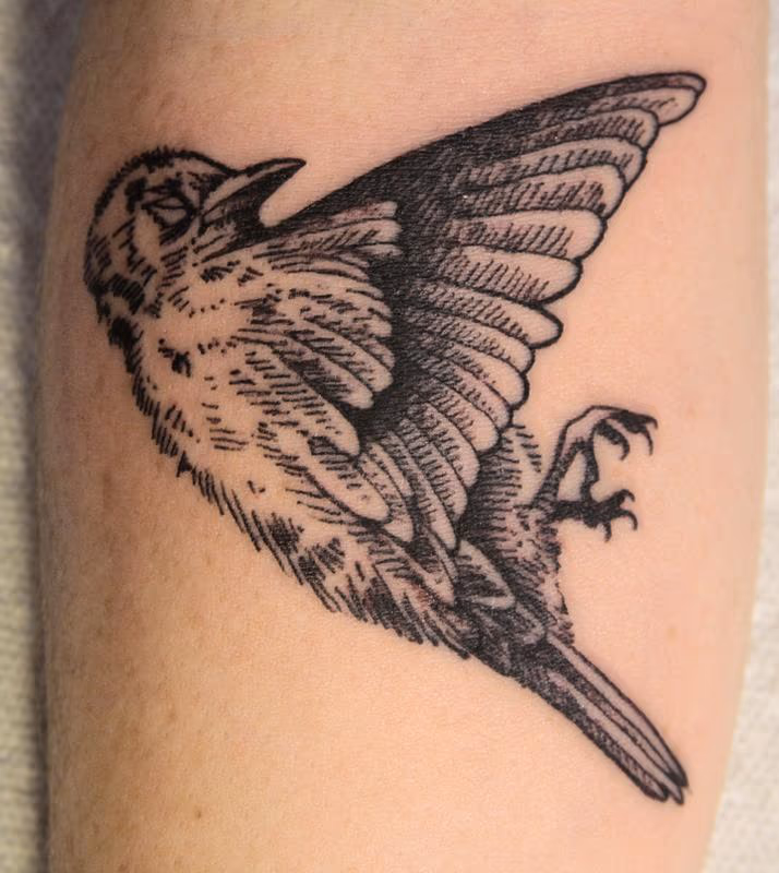 Dead Bird Tattoo