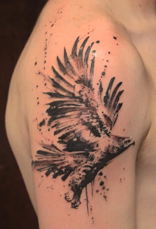 Hawk