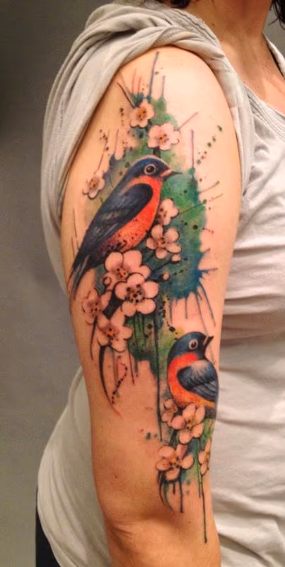 Birds