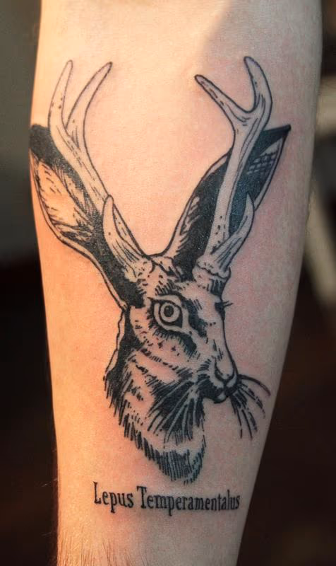 jackalope Tattoo