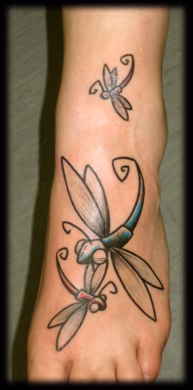 Libellules