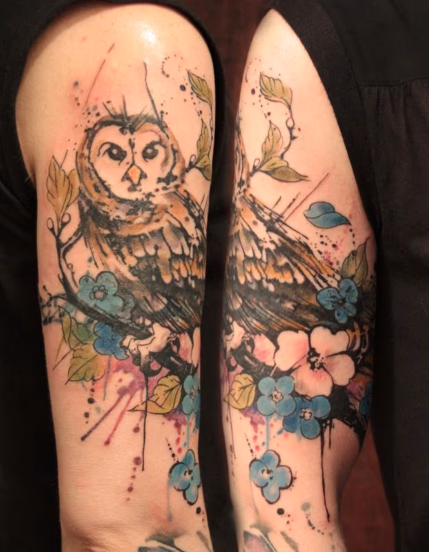 Owl