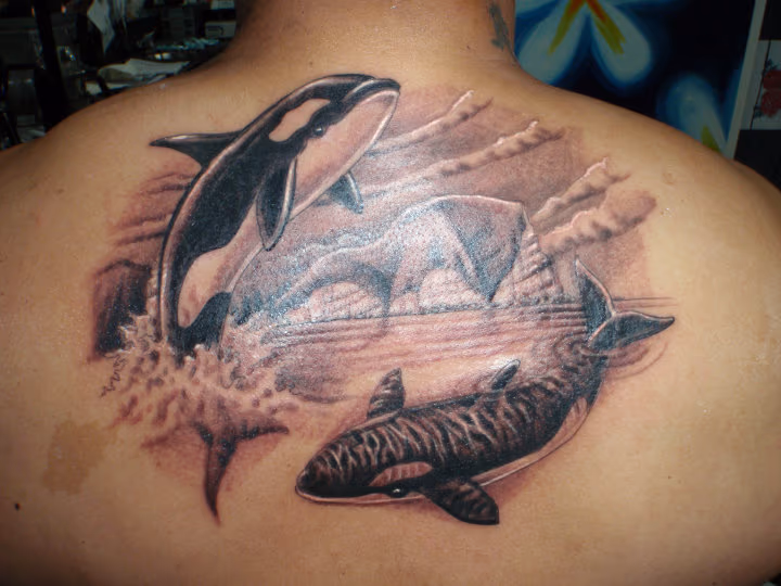 Orca whale tattoo