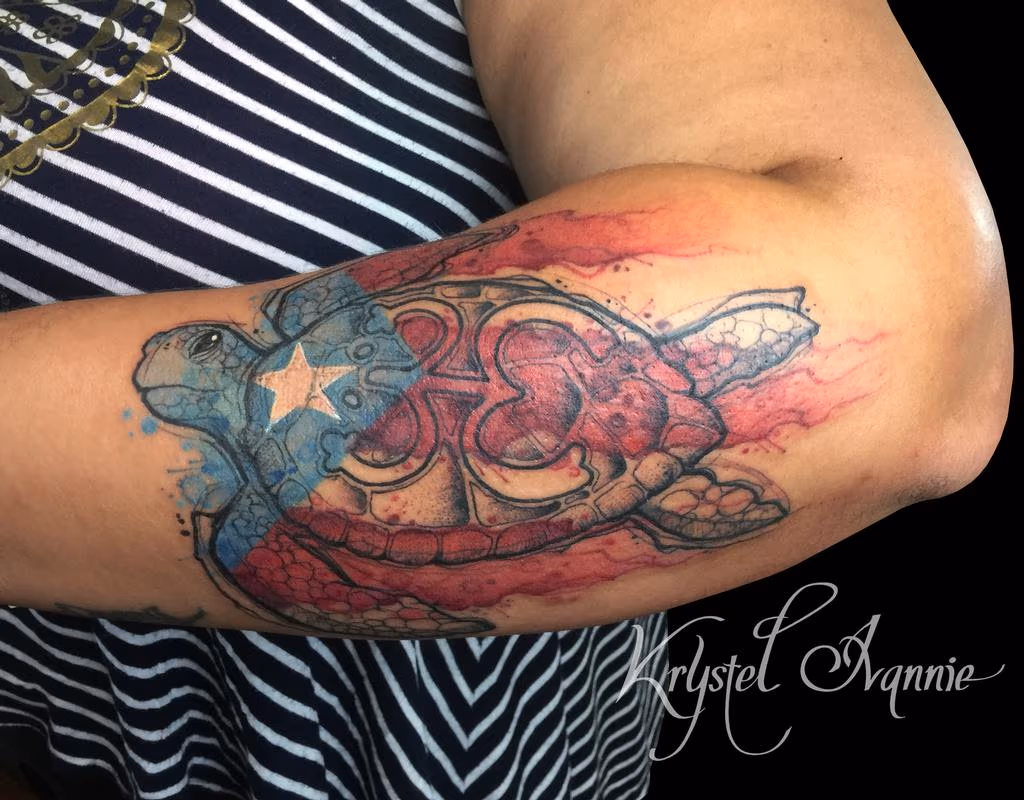 Carey Sea Turtle