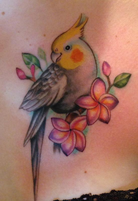 Cockatiel