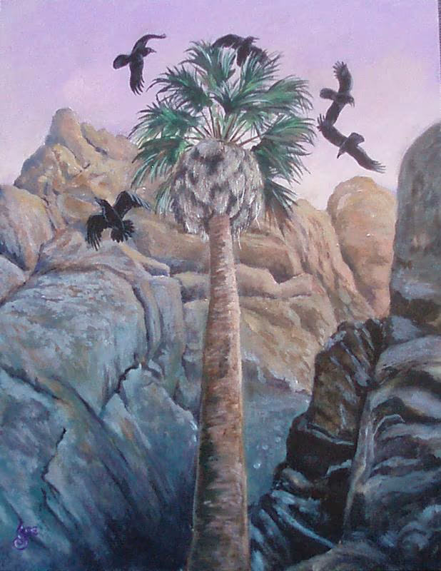 Crows in Palm Tree