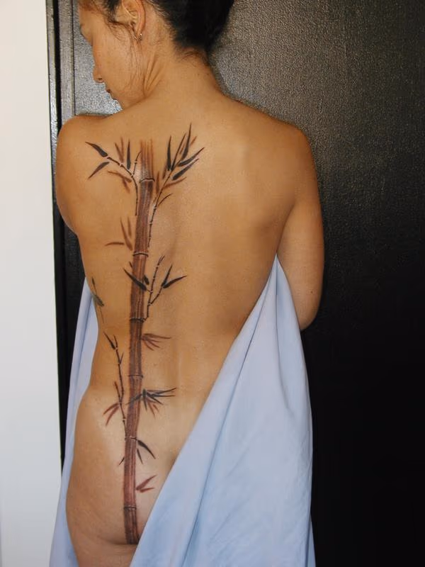 Bamboo