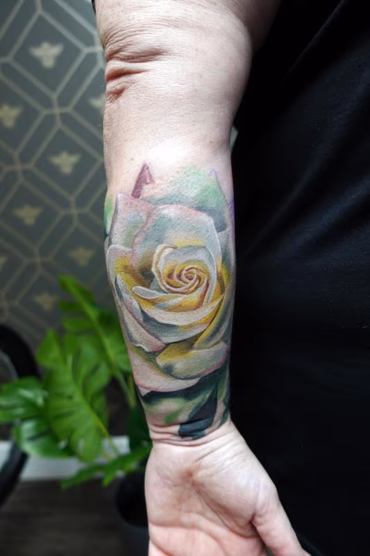 Princess Diana Rose