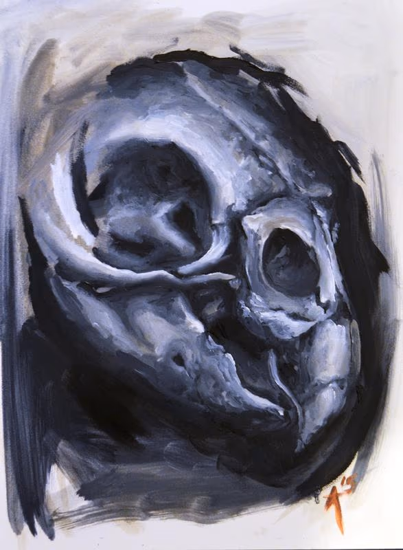Bird Skull Oil Painting