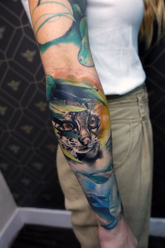 Margay Wildcat