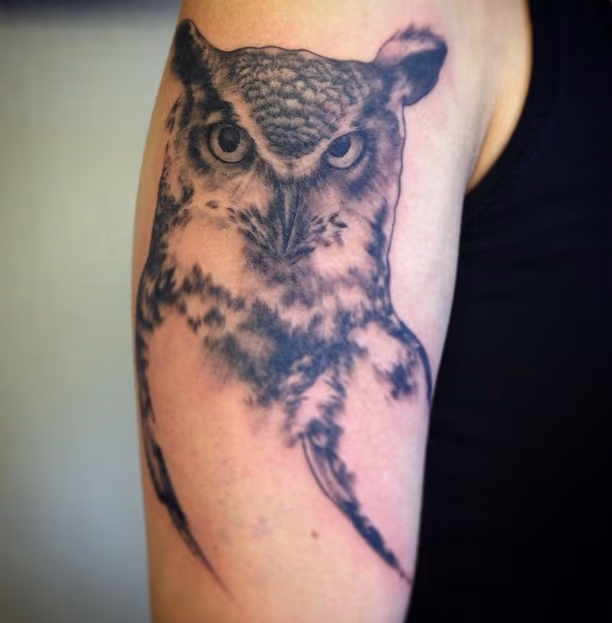 Owl