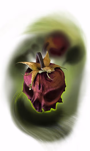 Decay