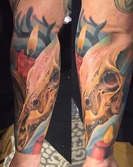 Deer Skull