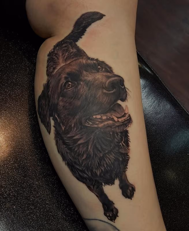 Realistic Dog