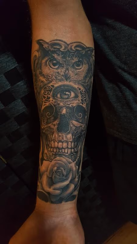 Black and Gray Owl, Skull, and Rose