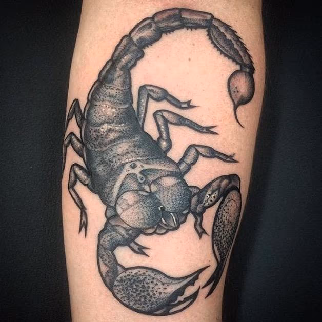 Scorpian