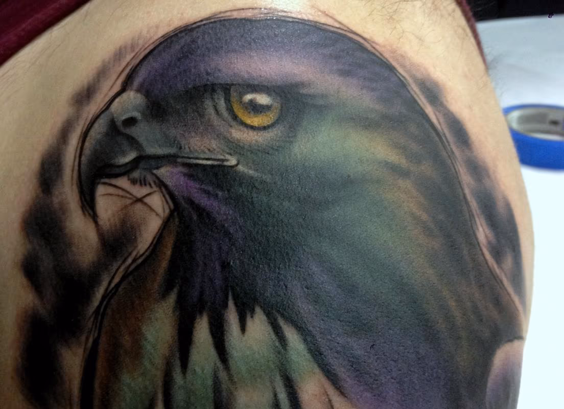 Watercolo Hawk