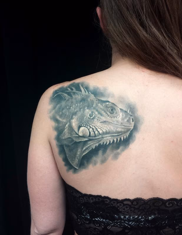 Iguana portrait