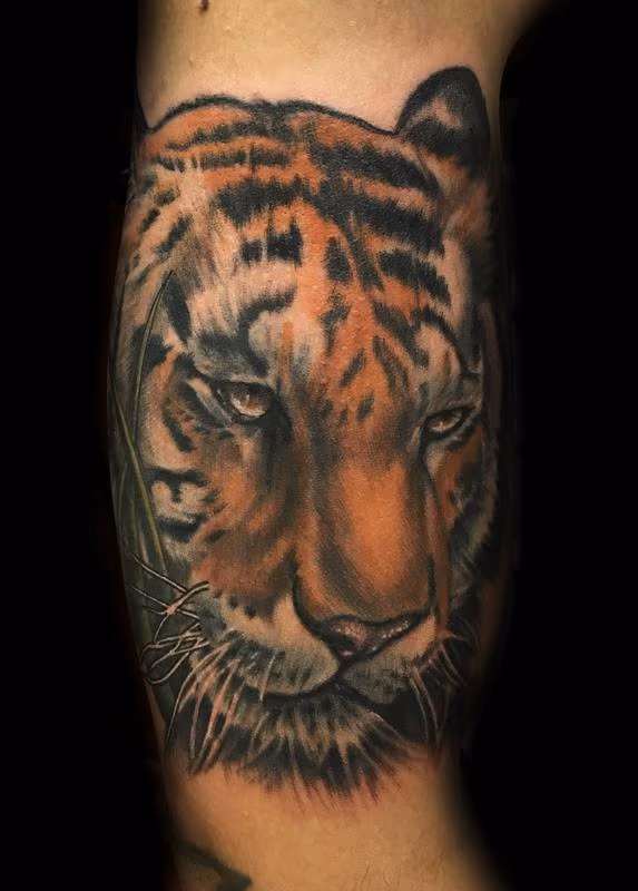 Color Tiger