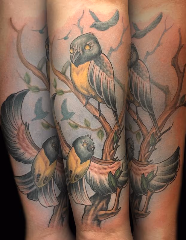Siren Songbirds