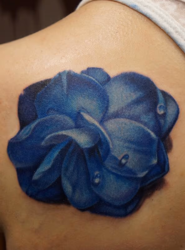 Gardenia