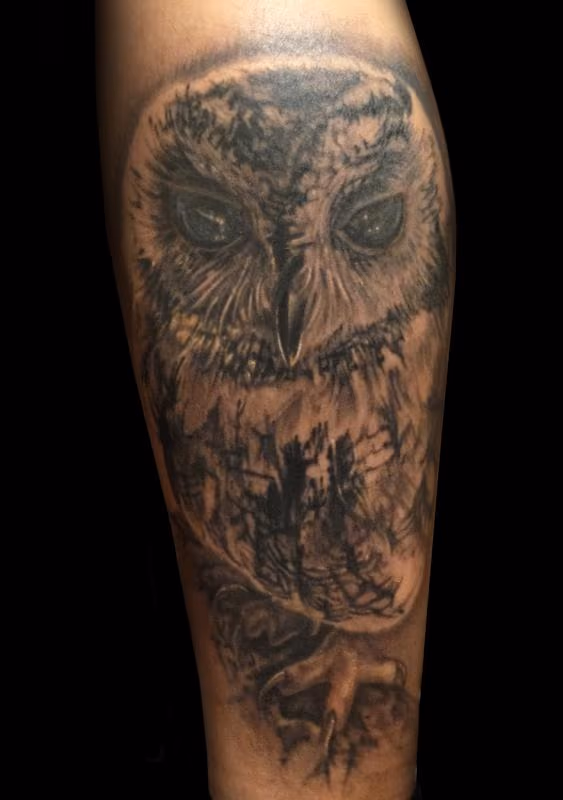 Zeus the Blind Owl