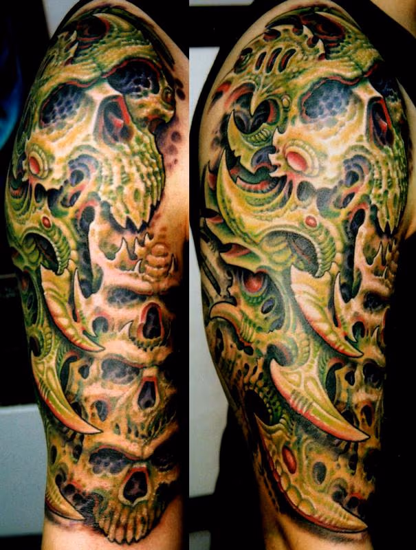 Biomech Skulls Half Sleeve