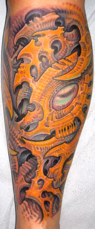 Biomech Lower Leg