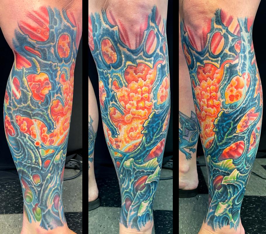 BIO ORGANIC LOWER LEG