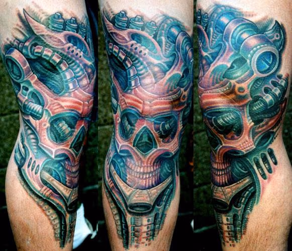 Leg