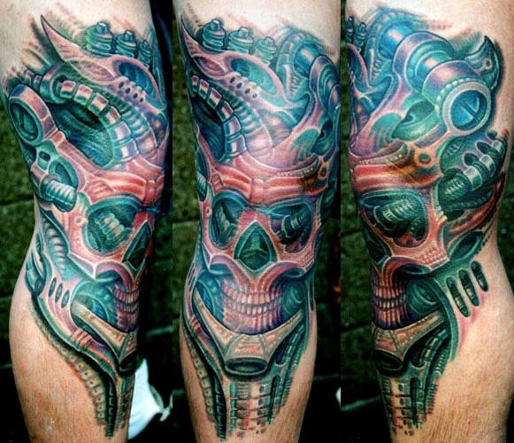 Leg