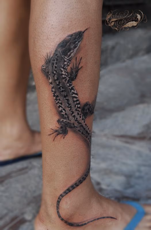 Lizard