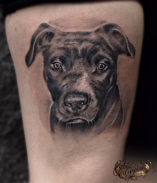 Dog Portrait
