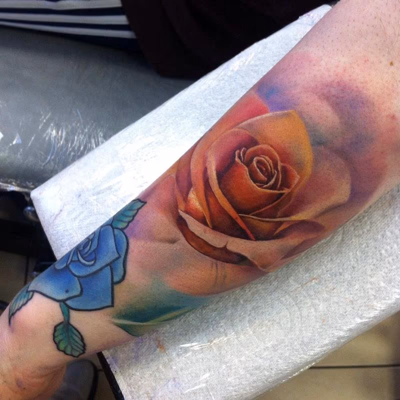 Peach Rose