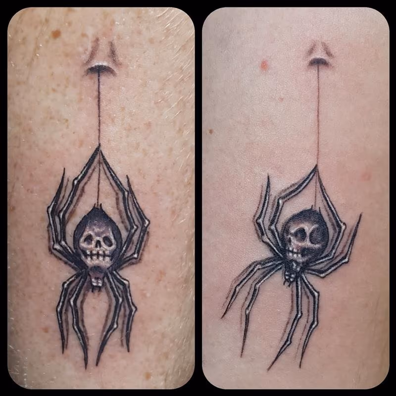 His and Hers Spiders