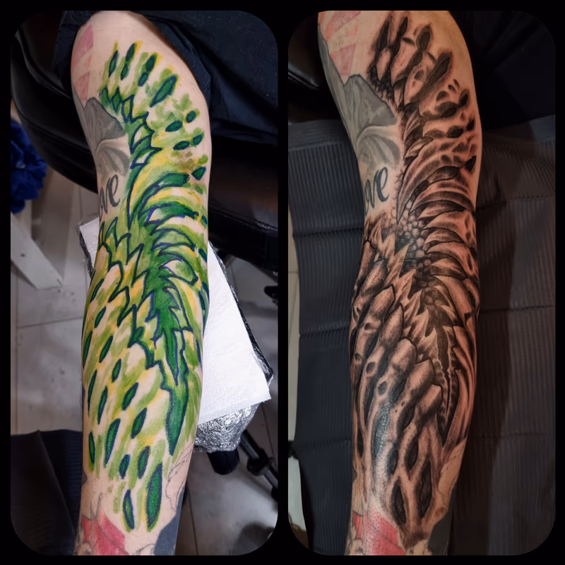 Freehand bio