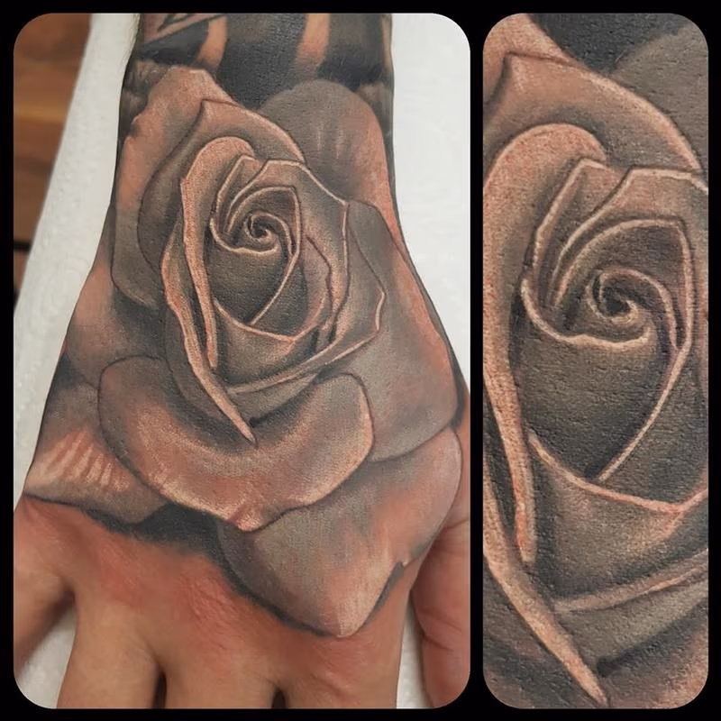 Rose on a hand