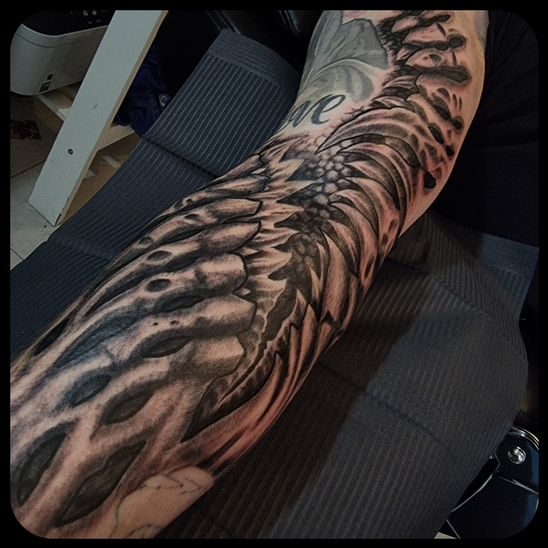 Freehand Bio