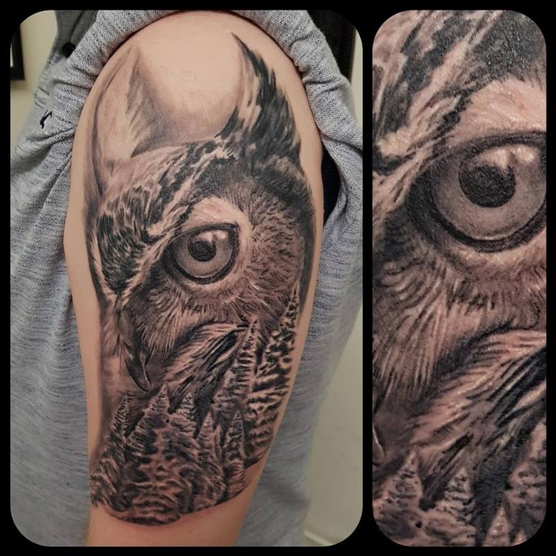 Owl and forest