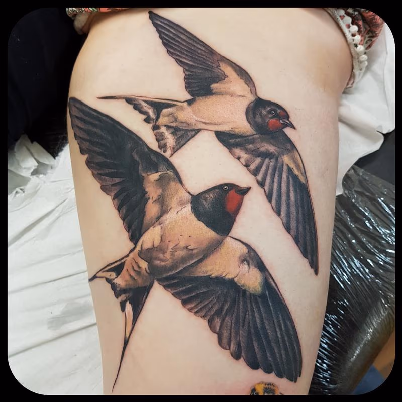 Swifts
