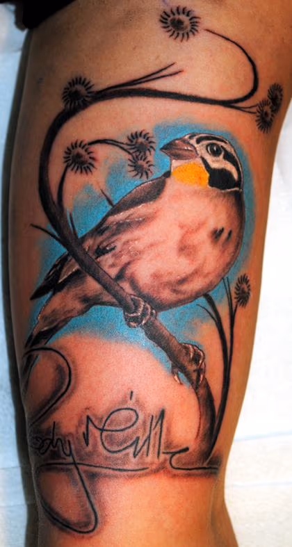 Finch