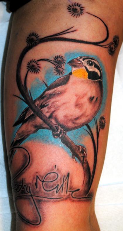Finch