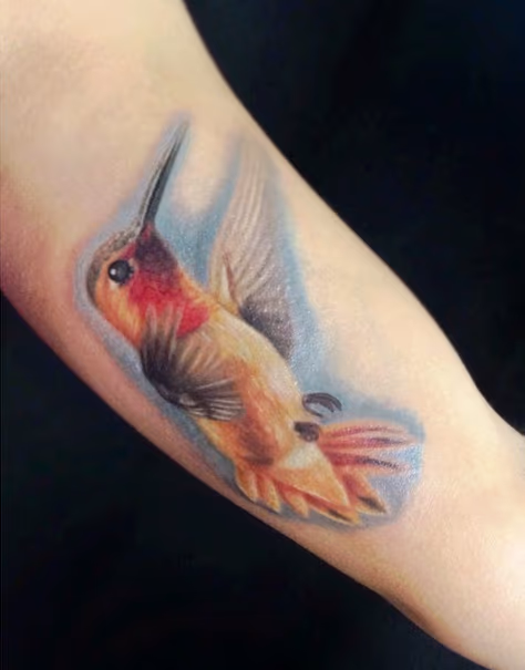 Hummingbird