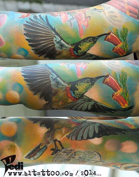 Humming Bird Half Sleeve