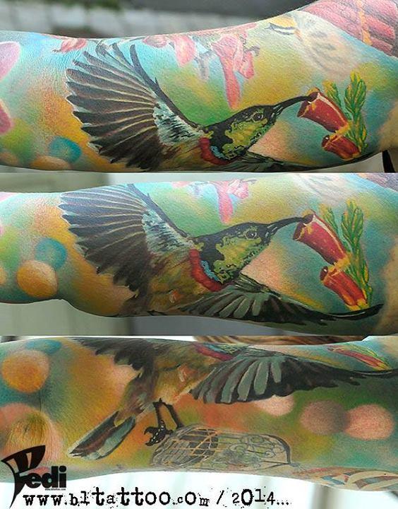 Humming Bird Half Sleeve