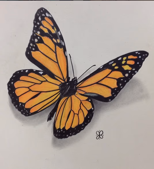 Monarch Butterfly